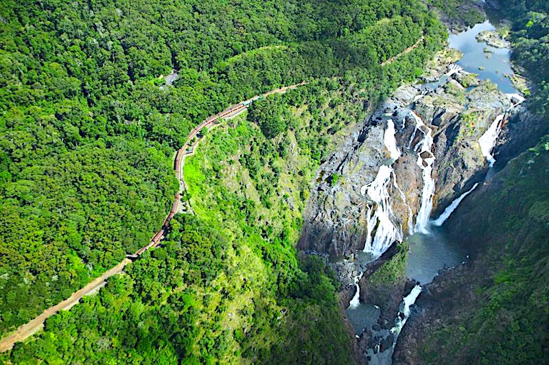 キュランダ 観光　オプショナルツアー