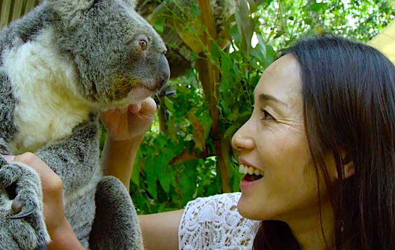ハートリースクロコダイルアドベンチャーズ　コアラ抱っこ　ケアンズ