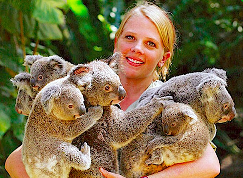 キュランダコアラガーデンズ　ケアンズ観光　コアラ抱っこ写真