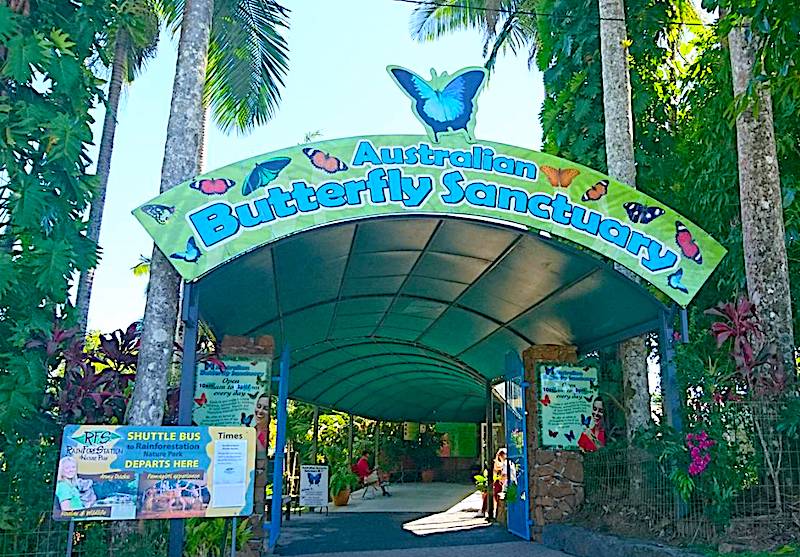 キュランダ 観光　完全ガイド キュランダ 