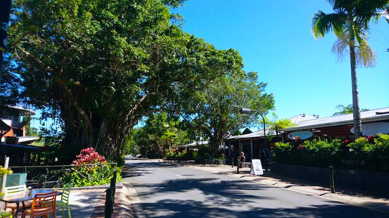 キュランダ 観光　完全ガイド キュランダ 行き方