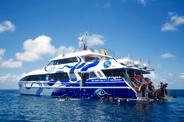 リーフクエスト