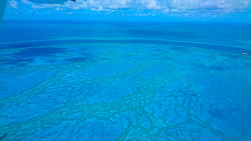 ケアンズ乗り継ぎ　ハミルトン島　ケアンズからハミルトン島