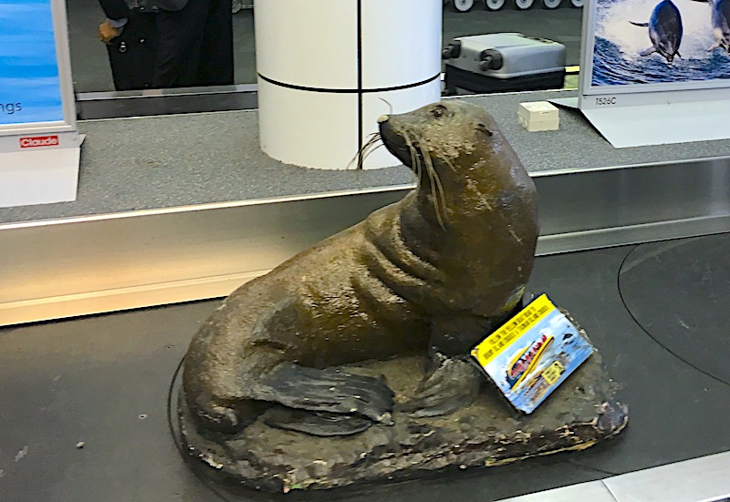 オーストラリア　空港