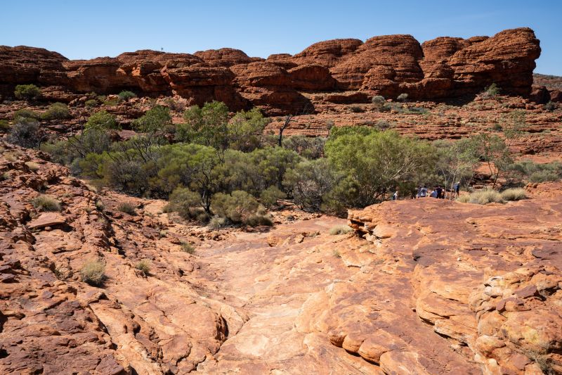 キングスキャニオン　ロスト・シティ